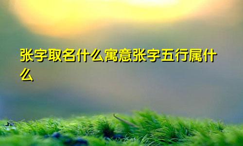 张字取名什么寓意张字五行属什么