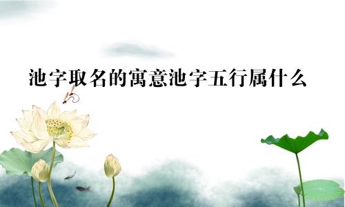 池字取名的寓意池字五行属什么