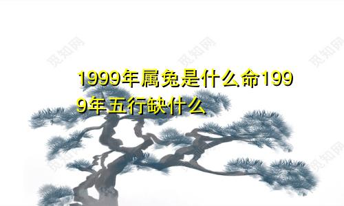 1999年属兔是什么命1999年五行缺什么