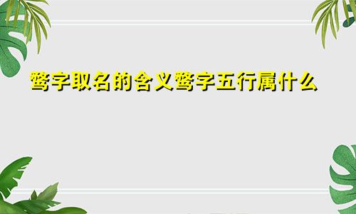 鹜字取名的含义鹜字五行属什么
