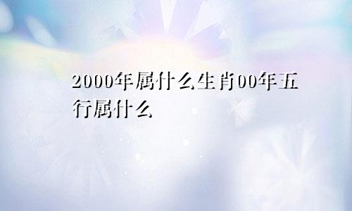 2000年属什么生肖00年五行属什么