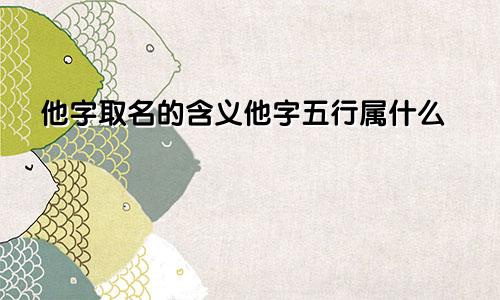他字取名的含义他字五行属什么