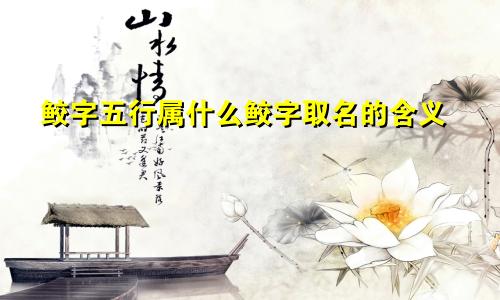 鲛字五行属什么鲛字取名的含义