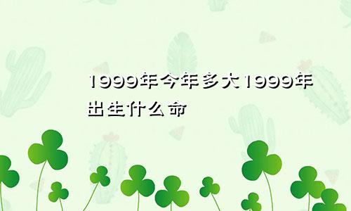 1999年今年多大1999年出生什么命