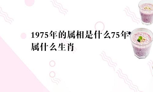 1975年的属相是什么75年属什么生肖