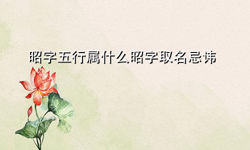昭字五行属什么昭字取名忌讳