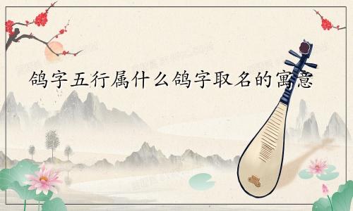 鸽字五行属什么鸽字取名的寓意