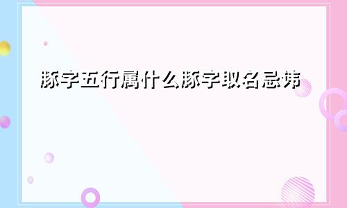 豚字五行属什么豚字取名忌讳
