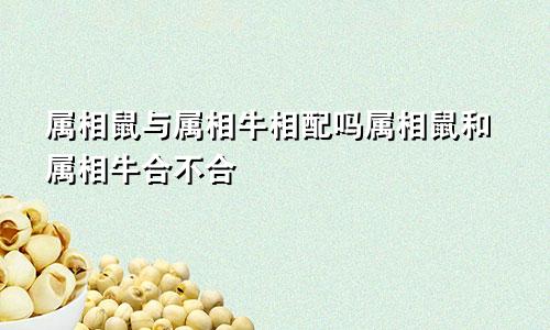 属相鼠与属相牛相配吗属相鼠和属相牛合不合