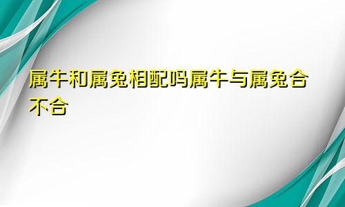 属牛和属兔相配吗属牛与属兔合不合