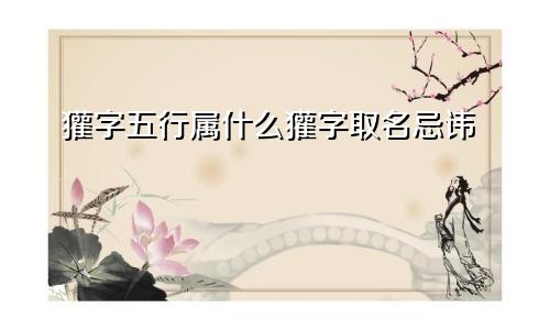 獾字五行属什么獾字取名忌讳