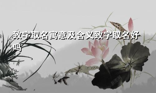 致字取名寓意及含义致字取名好吗