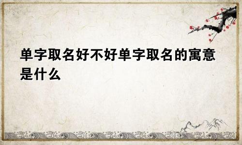 单字取名好不好单字取名的寓意是什么