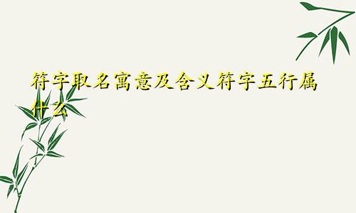 符字取名寓意及含义符字五行属什么