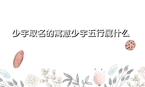 少字取名的寓意少字五行属什么