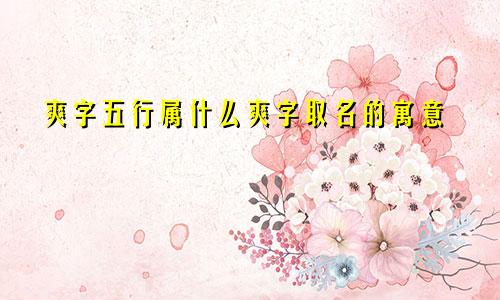 爽字五行属什么爽字取名的寓意