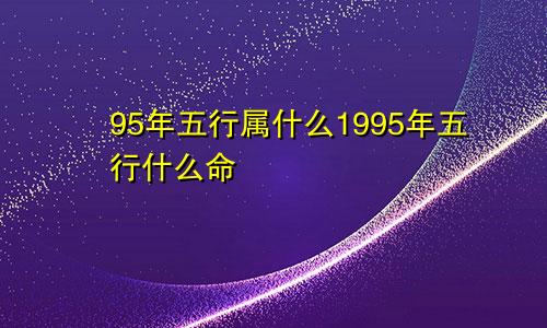 95年五行属什么1995年五行什么命