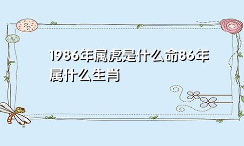 1986年属虎是什么命86年属什么生肖