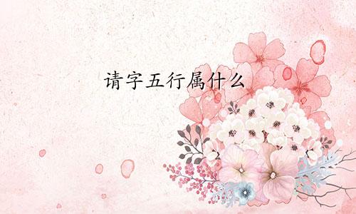 请字五行属什么