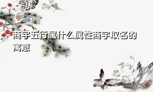 商字五行属什么属性商字取名的寓意