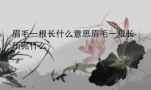 眉毛一根长什么意思眉毛一根长预兆什么