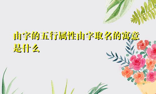 由字的五行属性由字取名的寓意是什么