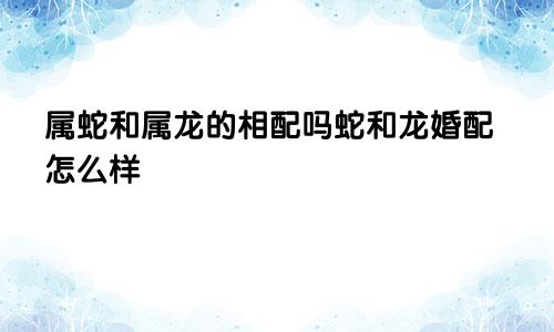 属蛇和属龙的相配吗蛇和龙婚配怎么样