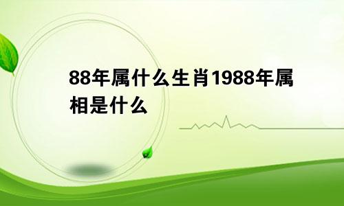 88年属什么生肖1988年属相是什么