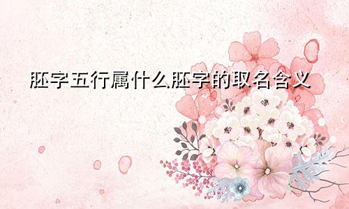 胚字五行属什么胚字的取名含义