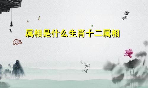 属相是什么生肖十二属相