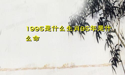 1995是什么生肖95年是什么命