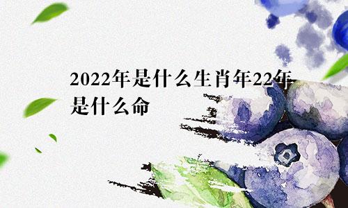 2022年是什么生肖年22年是什么命