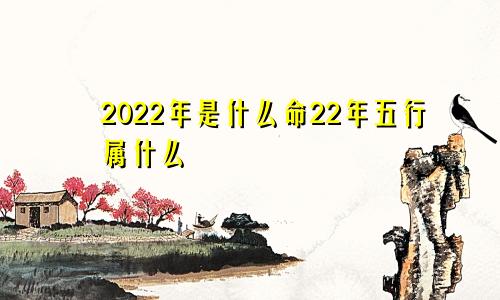 2022年是什么命22年五行属什么