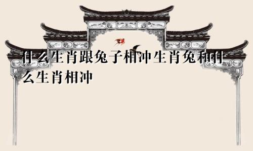 什么生肖跟兔子相冲生肖兔和什么生肖相冲