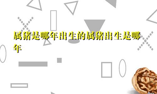 属猪是哪年出生的属猪出生是哪年