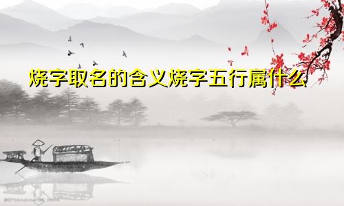 烧字取名的含义烧字五行属什么