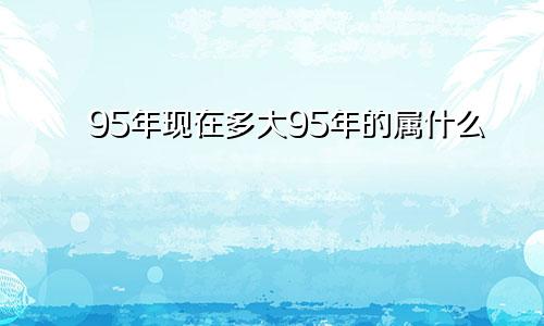 95年现在多大95年的属什么