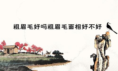 粗眉毛好吗粗眉毛面相好不好