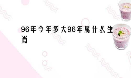 96年今年多大96年属什么生肖