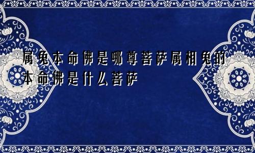 属兔本命佛是哪尊菩萨属相兔的本命佛是什么菩萨