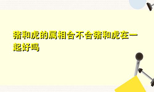 猪和虎的属相合不合猪和虎在一起好吗