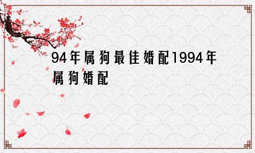 94年属狗最佳婚配1994年属狗婚配