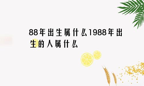 88年出生属什么1988年出生的人属什么