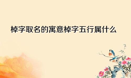 棹字取名的寓意棹字五行属什么