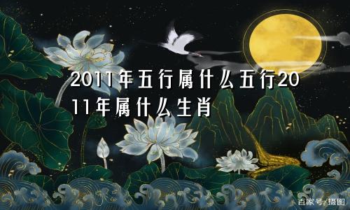 2011年五行属什么五行2011年属什么生肖