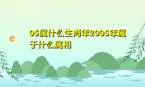 05属什么生肖年2005年属于什么属相