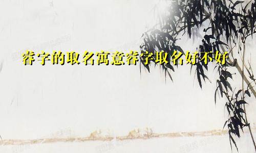 睿字的取名寓意睿字取名好不好
