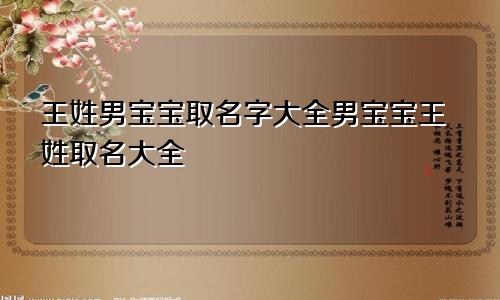 王姓男宝宝取名字大全男宝宝王姓取名大全