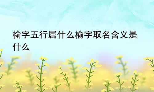 榆字五行属什么榆字取名含义是什么
