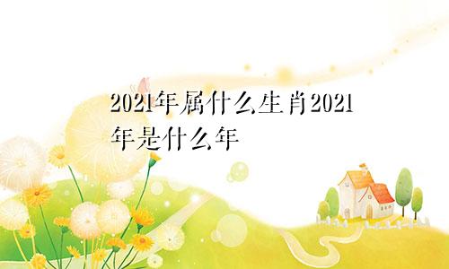 2021年属什么生肖2021年是什么年